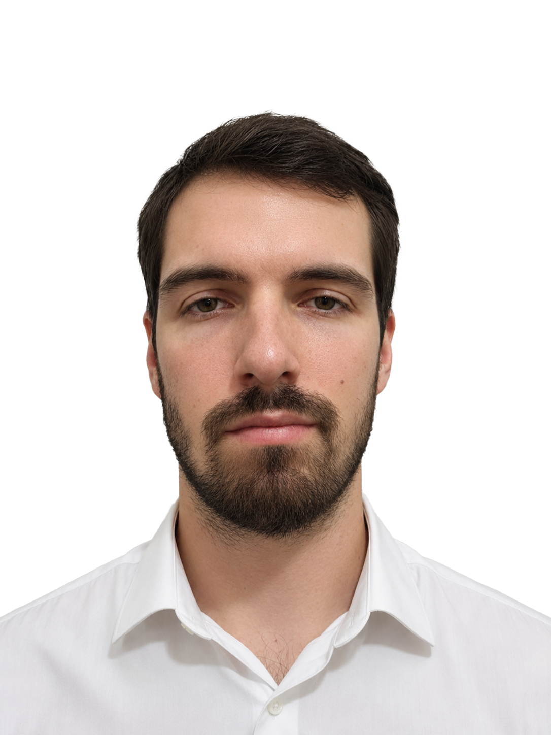 Portfolio author